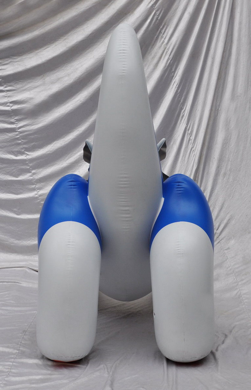 Inflatable Product